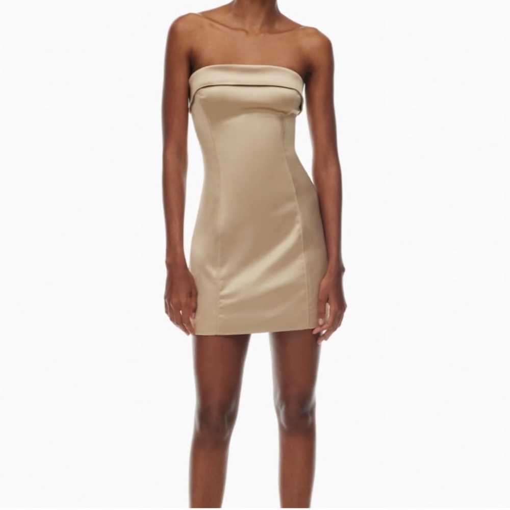 Aritzia ❤️ Dark Purple❤️ Shimmer Tubes Dress